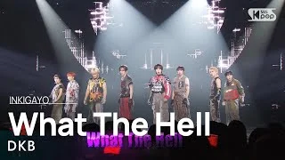 DKB(다크비) - What The Hell @인기가요 inkigayo 20231210