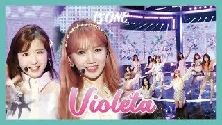 [HOT] IZ*ONE  - Violeta ,  아이즈원 - 비올레타 Show Music   core 20190413