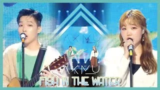 [Comeback Stage] AKMU - Fish in the Water   , 악동뮤지션 - 물 만난 물고기 Show Music core 20190928