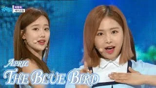[HOT] APRIL - The Blue Bird, 에이프릴 - 파랑새 Show Music core 20180331
