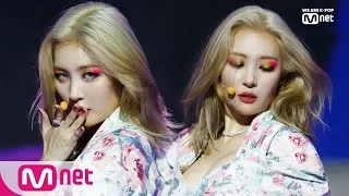 [SUNMI - LALALAY] 2019 MAMA Nominees Special│ M COUNTDOWN 191128 EP.644