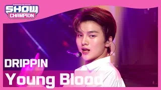[Show Champion] 드리핀 - 영 블러드 (DRIPPIN - Young Blood) l EP.390
