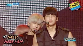 [Comeback Stage] HALO - HERE I AM, 헤일로 - 여기여기 Show Music core 20170708