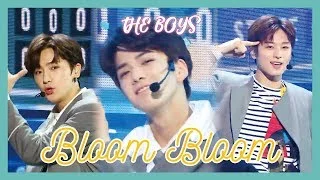 [HOT] THE BOYZ - Bloom Bloom,  더보이즈 - Bloom Bloom  Show Music core 20190511