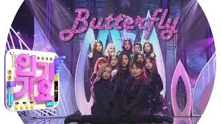 LOONA(이달의 소녀) - Butterfly  @인기가요 Inkigayo 20190224
