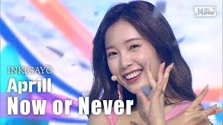 Aprill(에이프릴) - Now or Never @인기가요 inkigayo 20200816