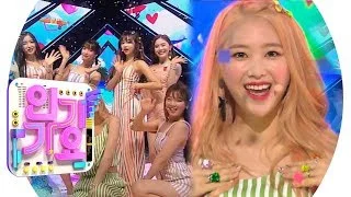 OH MY GIRL(오마이걸) - BUNGEE(Fall in Love) @인기가요 Inkigayo 20190818