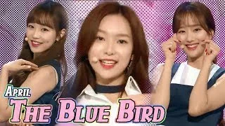 [HOT] APRIL - The Blue Bird, 에이프릴 - 파랑새 Show Music core 20180407