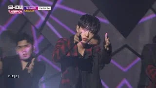 Show Champion EP.239 Longguo&Shihyun - INTRO+the.the.the [용국&시현 - 인트로+the.the.the ]