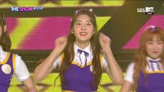 FAVORITE, Where are you from? [THE SHOW 180605]